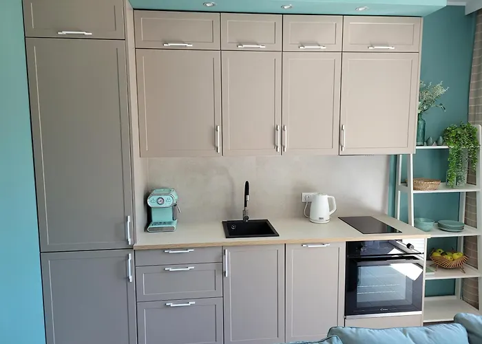 The Harmony Z Duzym Tarasem I Miejscem Do Pracy Zdalnej Διαμέρισμα Władysławowo